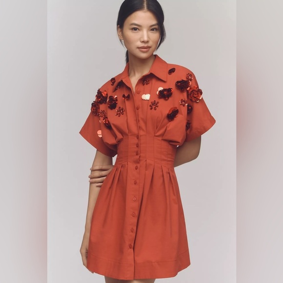 NWOT! Tobie Button-Front Pleated Shirt Dress by Exquise: Sequin Mini Edition - Picture 4 of 5